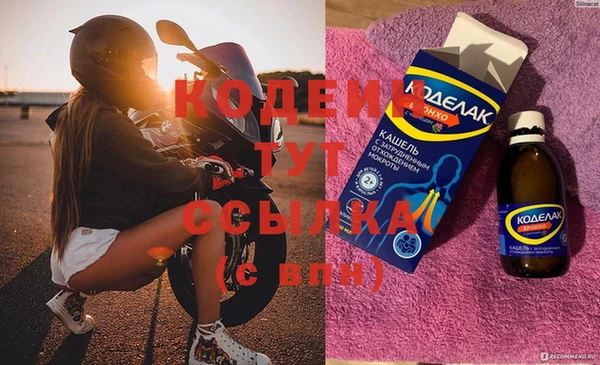 индика Няндома