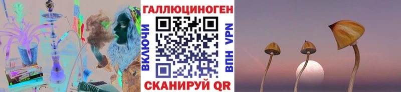 дарнет шоп  Микунь  Псилоцибиновые грибы Cubensis 